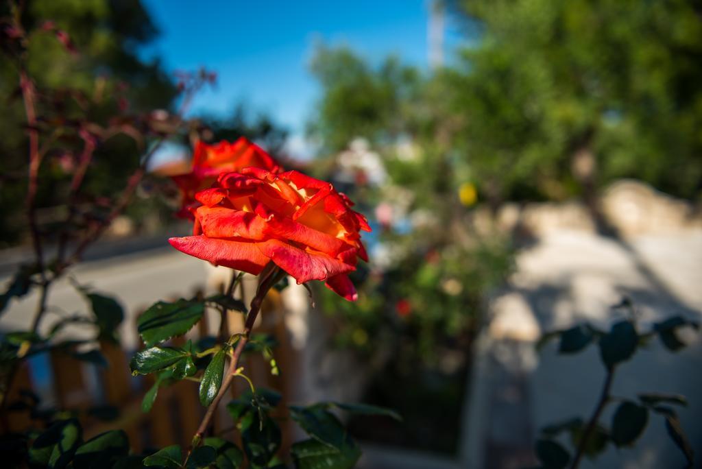 Vasilikí Casa Di Porto Roma 아파트 외부 사진